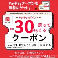 paypayキャンペーン画像